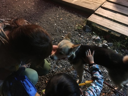 埼玉県 秩父市 巴川オートキャンプ場にて天体観測!とか設備とか! 埼玉県 秩父市 巴川オートキャンプ場にて天体観測!とか設備とか!