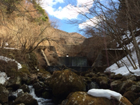伊豆の渓に春を求めて。