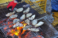 2014 牡蠣オフ 2014/02/15 09:54:36