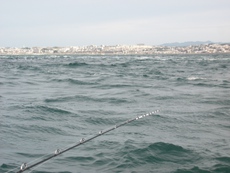 大橋下の飲ませ釣り