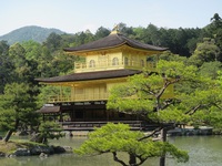 鹿っりと　奈良，京都旅パート４