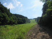 それぞれの夏休み