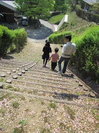 鹿っりと奈良，京都旅　パート２
