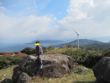 こりん♪観光社　山口企画