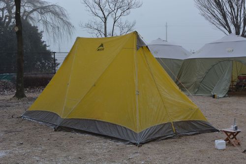 出会いの森で-8℃の朝