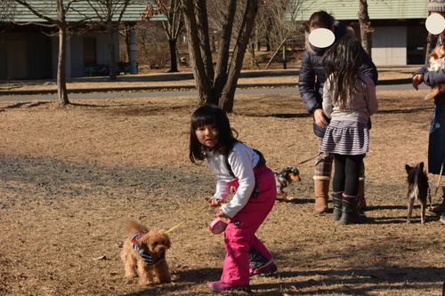 出会いの森で-8℃の朝