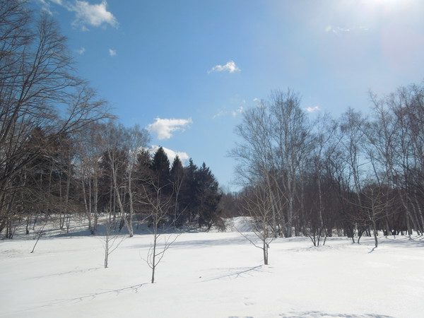 冬の散歩3
