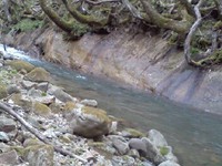 朝の散歩（釣り）