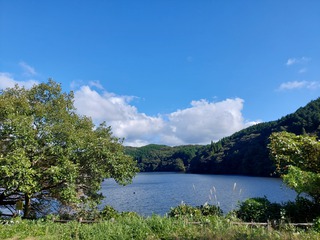 鵜の池公園キャンプ場　20241012