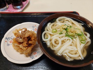 うどん　手打十段　うどんバカ一代