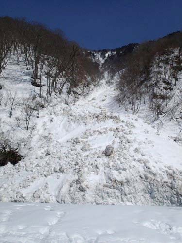 雪崩跡