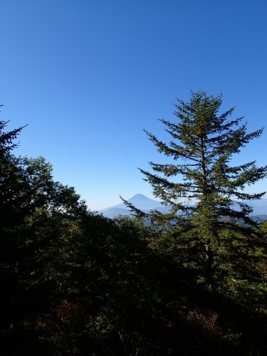 富士山