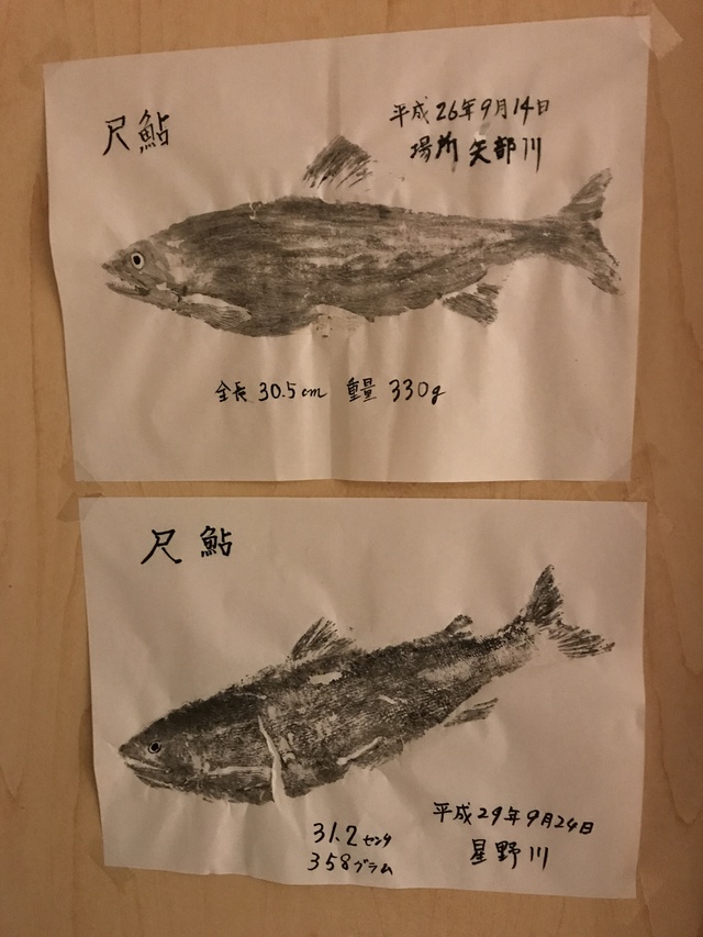 88日記 :星野川で釣れた尺アユの魚拓