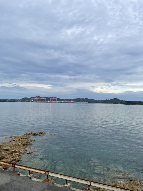 2024/0608 大島大橋の風速と気温