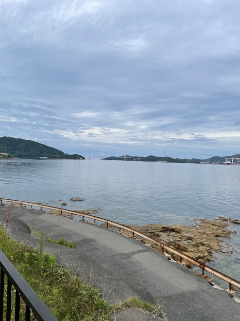 2024/0608 大島大橋の風速と気温