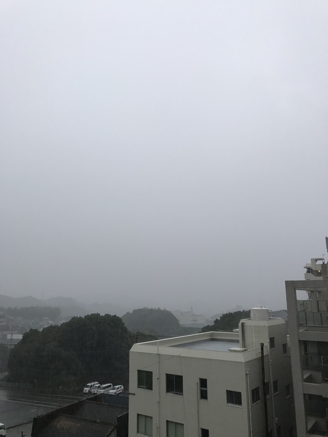 さすがにこの雨では