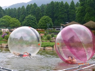 生憎の天気でも