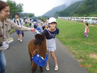 生憎の天気でも