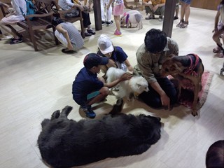 夏休みは海遊館！！