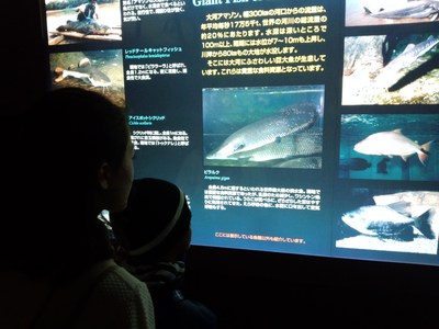 予定外のお出かけ