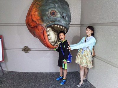 久々の妻鹿