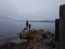 チヌは釣れども・・・小豆島