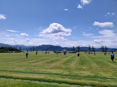 ルーキーリーグ