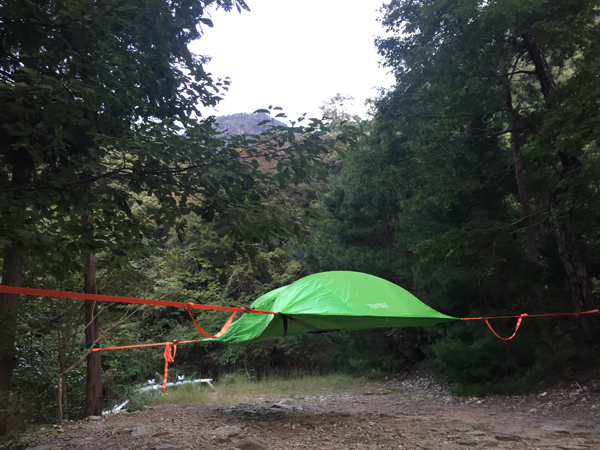 TENTSILE / Stingray tree tent