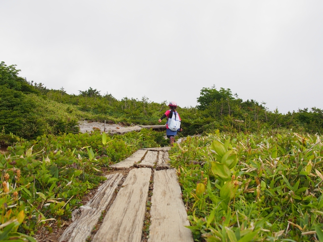 念願の娘との登山♪