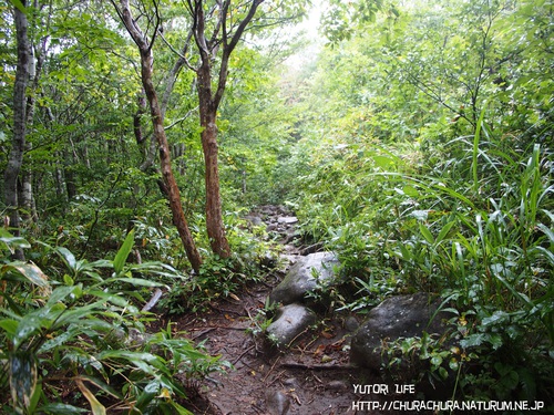 始動！初登山！泉ヶ岳！