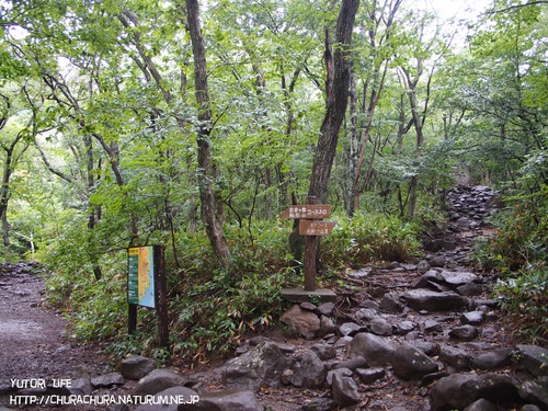 始動！初登山！泉ヶ岳！