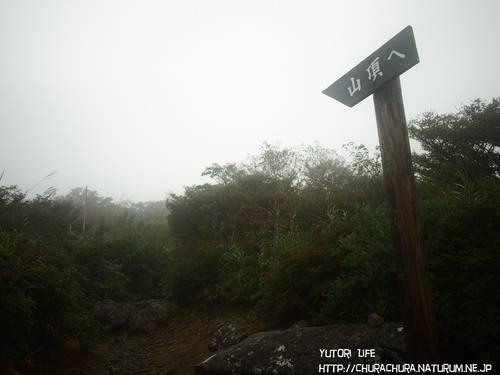 始動！初登山！泉ヶ岳！