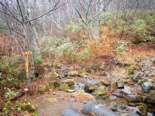 雨の登山