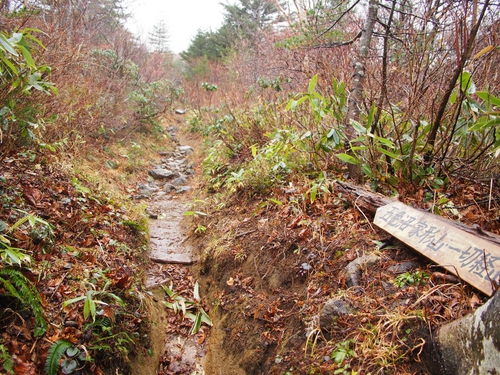 雨の登山