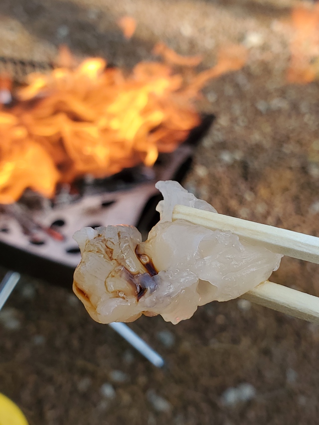 伊豆キャンプ(*^O^*)後半、食べる食べるの部