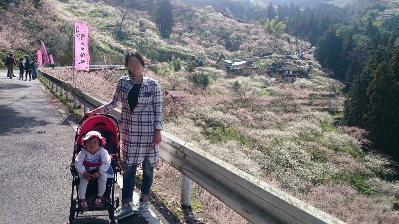 賀名生梅林が見頃だったので行ってきた