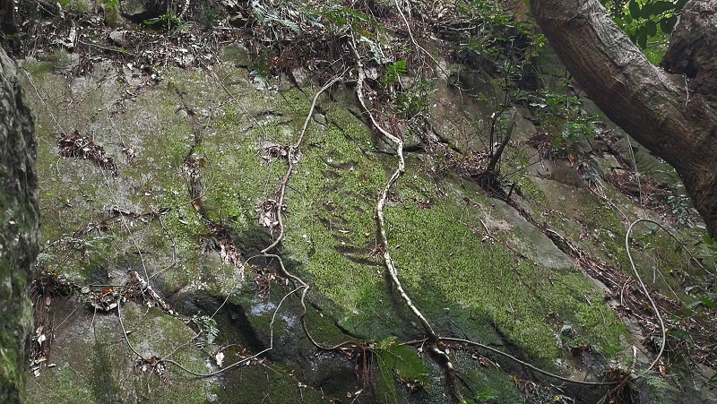 倉治公園から交野山へ