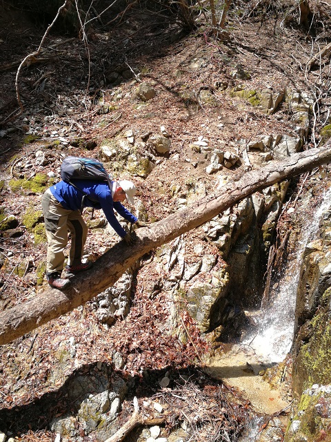 妙見谷から金剛山へ