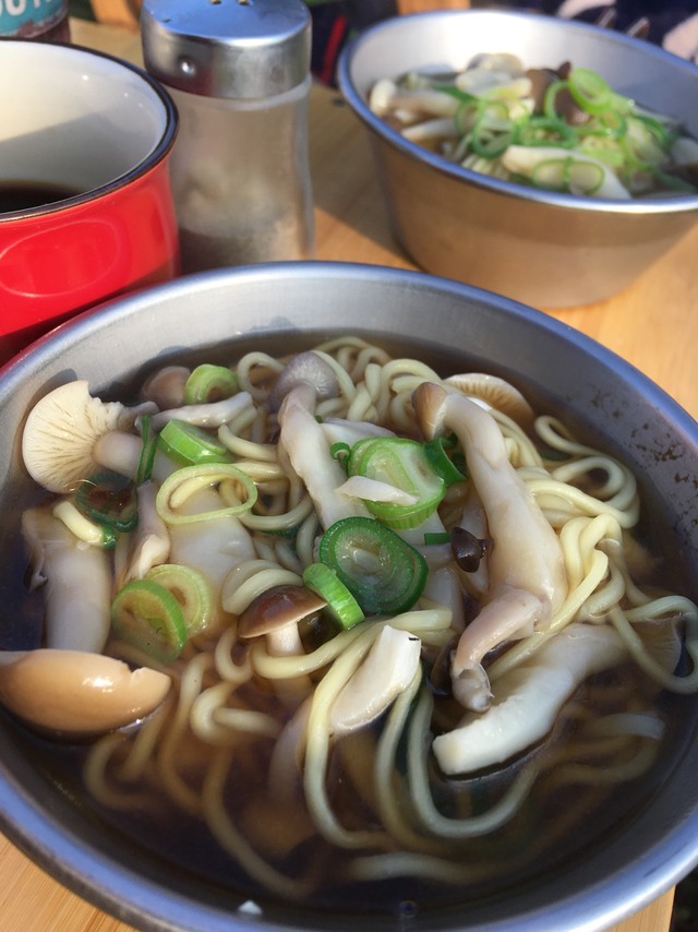 4月のキャンプ