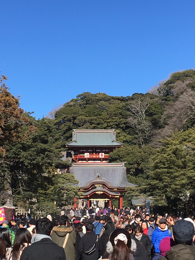 乙女森林公園第2キャンプ場