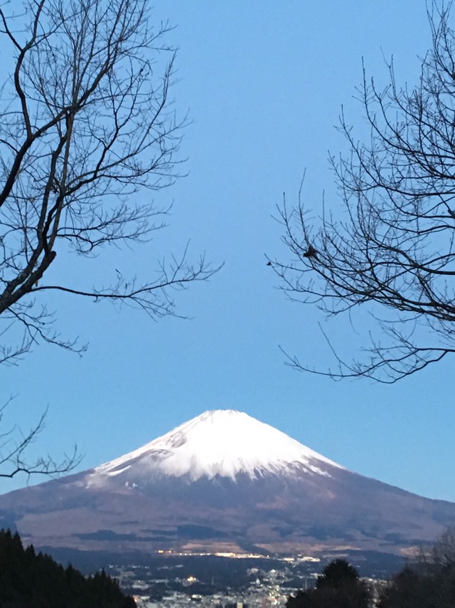 乙女森林公園第2キャンプ場