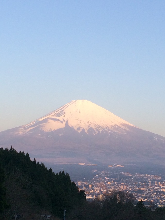 サボってました②