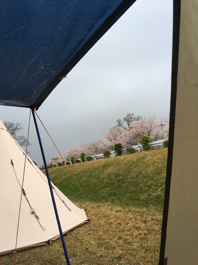 4月のキャンプ