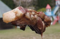 たき火キャンプ 2016/04/11 21:28:05