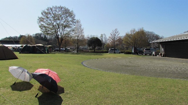 桜花びら舞い散る！ 大子広域公園オートキャンプ場 グリンヴィラ