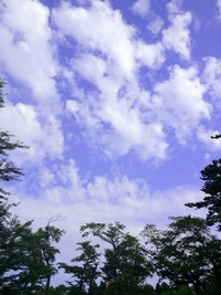 天日干しに行こう！www 2014/09/02 02:34:52