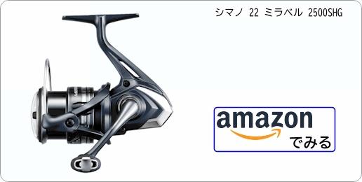 ライトショアジギングロッドで黒鯛の落とし込み＆前打ち釣り