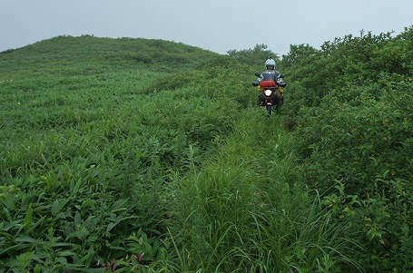 久しぶりに山で野営してきました^^;