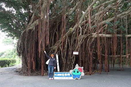 南九州　薩摩の旅本編　その2
