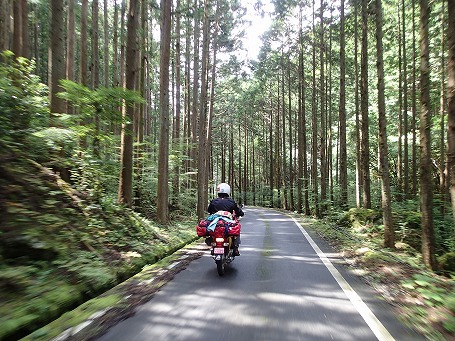 久しぶりに山で野営してきました^^;